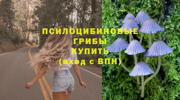 прущие крисы Касимов