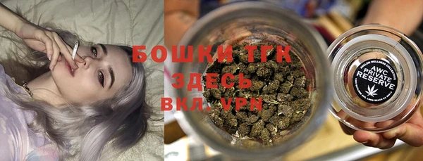 стаф Карпинск