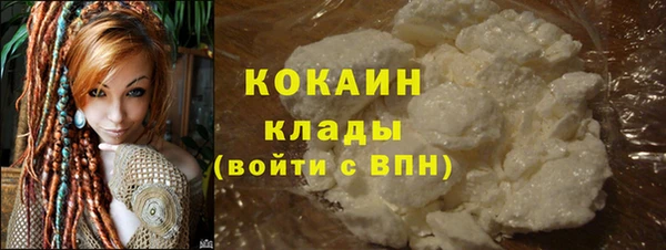 стаф Карпинск
