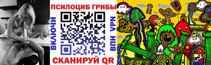Купить закладки  Сафоново  Псилоцибиновые грибы Cubensis 
