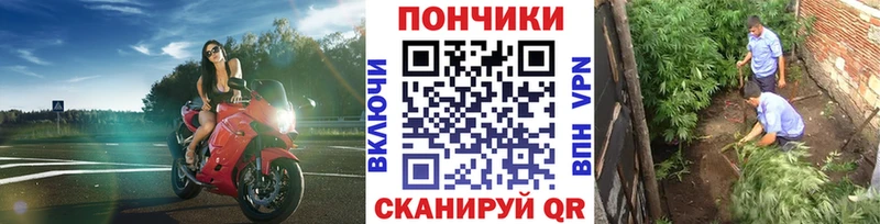 Канабис Ganja  Купить где  Сафоново 